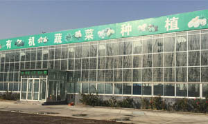 山東寶儲有機(jī)果蔬基地